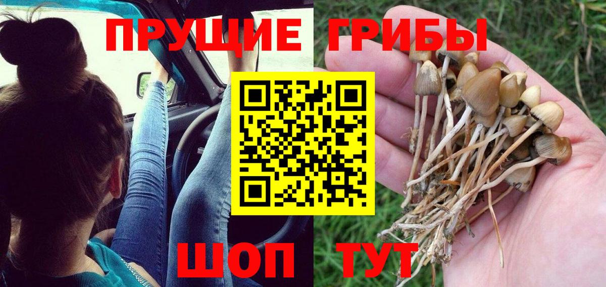 Галлюциногенные грибы прущие грибы  Галлюциногенные грибы Magic Shrooms  Вход с VPN  Амурск 